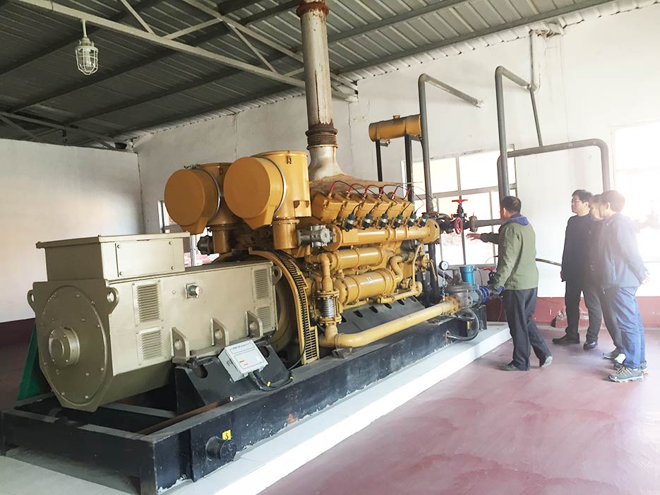 餐廚垃圾沼氣發電機組