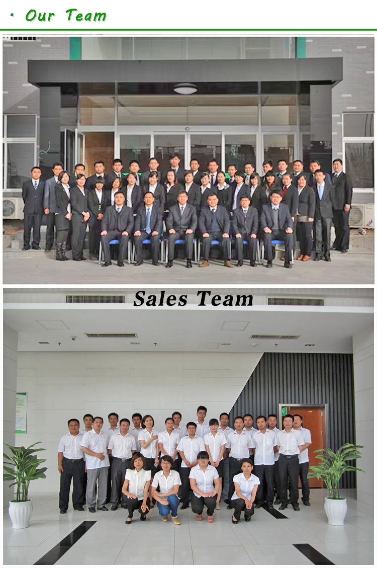 山東綠環動力1MW沼氣發電機組發往越南